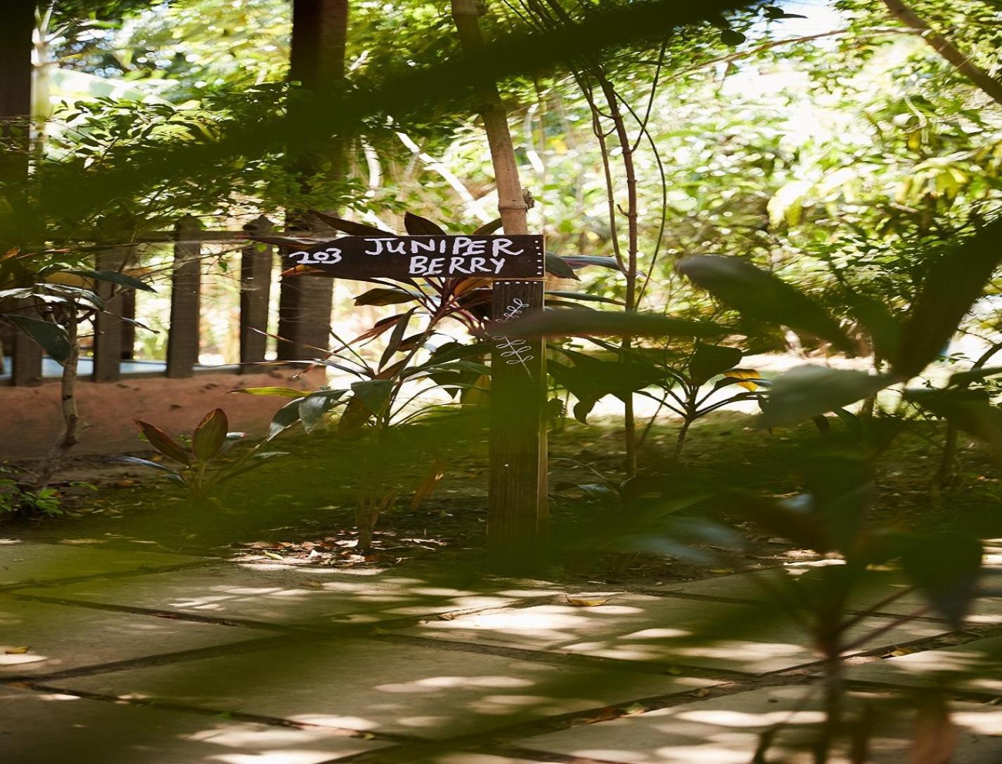 Jamboree Creek Yoga Mandrem Exterior foto